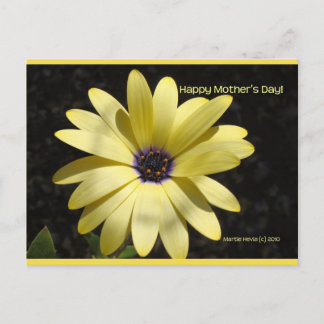Daisy On Mother's Day | Blue Beach Song™ Postcard
