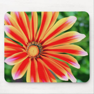 Daisy Petals Mouse Pad