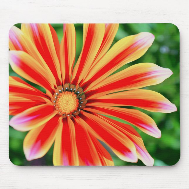 Daisy Petals Mouse Pad (Front)