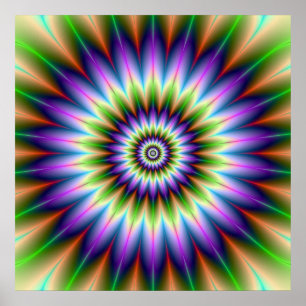 Daisy Petals Poster
