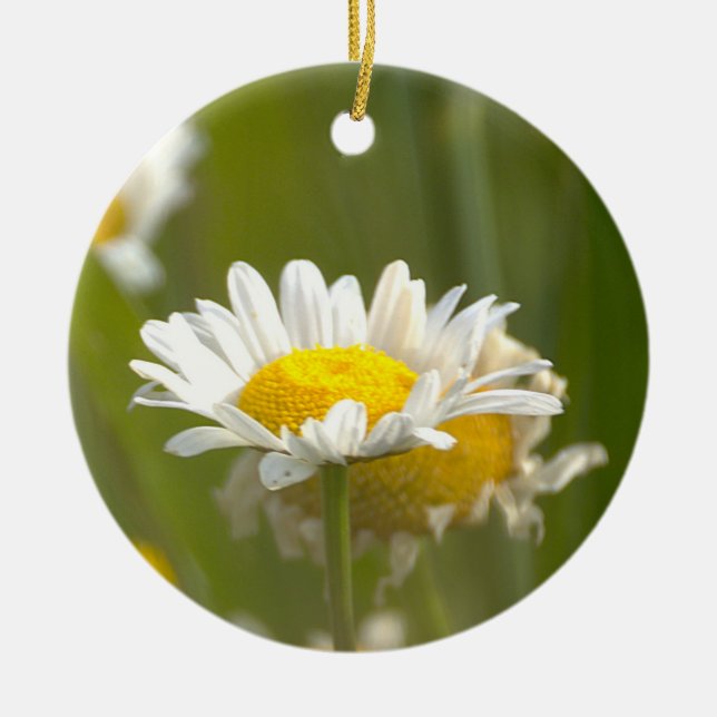 Daisy Photo Ornament (Front)