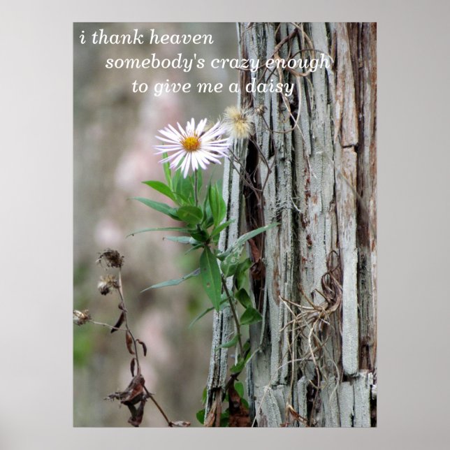 Daisy Photo Poster (Front)