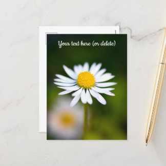 Daisy Postcard