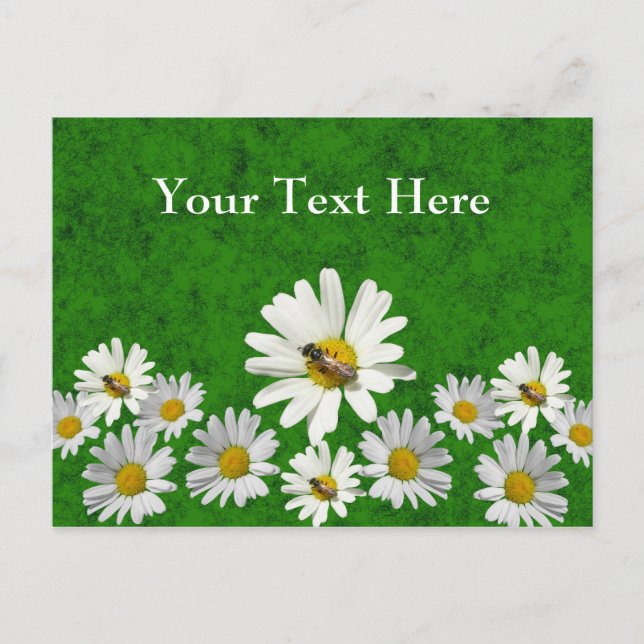Daisy postcard template (Front)