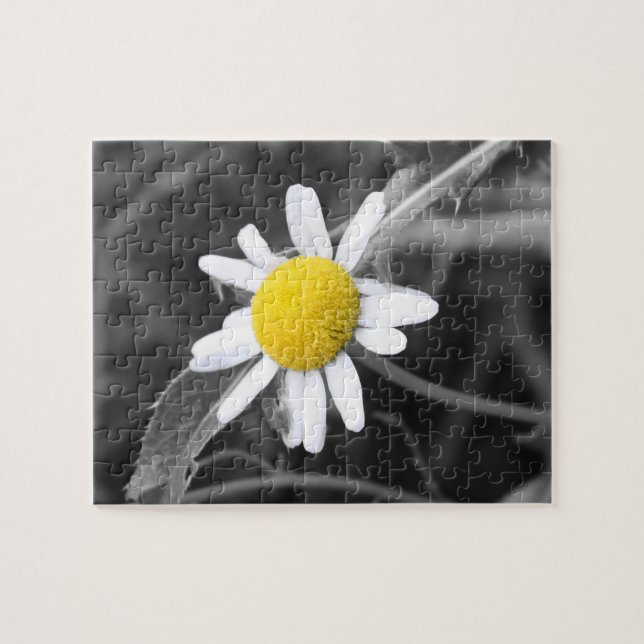 Daisy Puzzle (Horizontal)