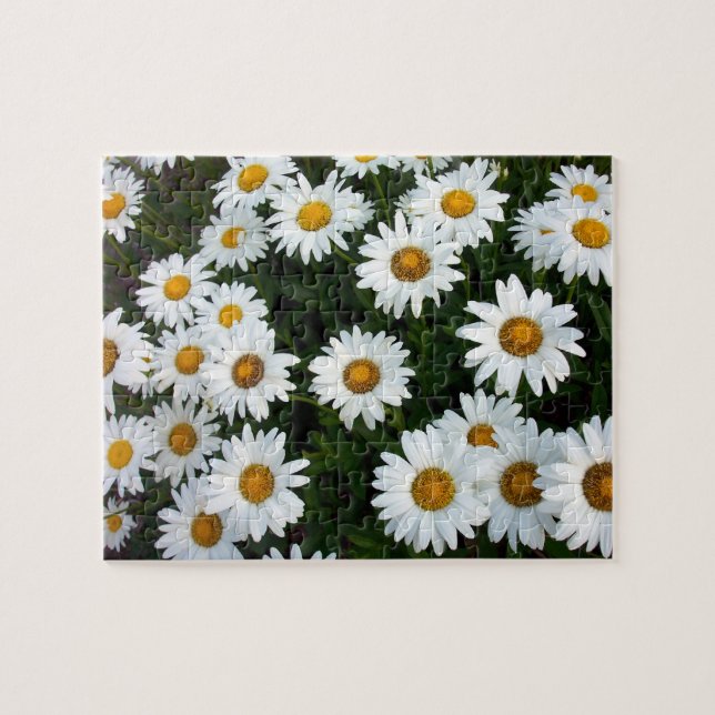 Daisy Puzzle (Horizontal)