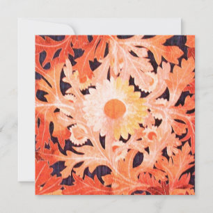 DAISY, red  black white Announcement