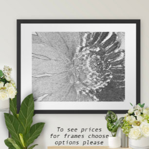 Daisy Shades of Grey Floral Poster