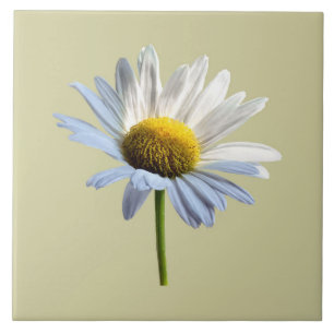 Daisy Shadow and Light Ceramic Tile