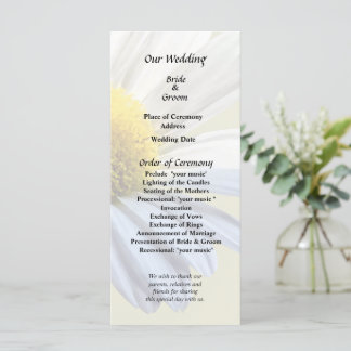 Daisy Shadow and Light Wedding Supplies Program