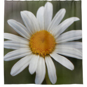 Daisy shower curtain