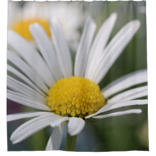 Daisy shower curtain