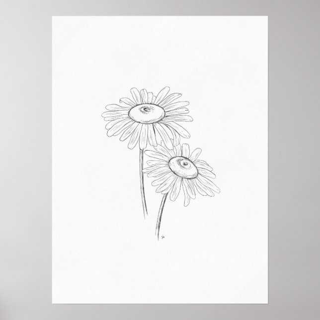 Daisy Sketch Art Print (Front)