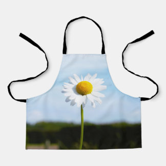 Daisy standing upright in nature. apron