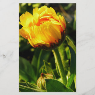 Daisy Stationery