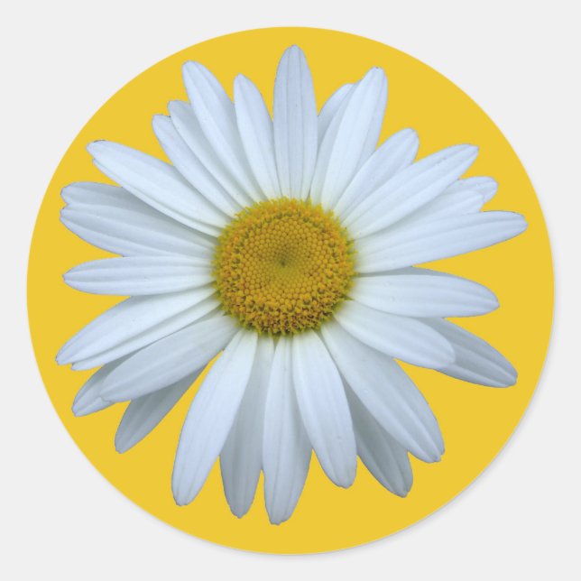 daisy sticker (Front)