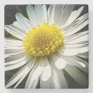 Daisy Stone Coaster