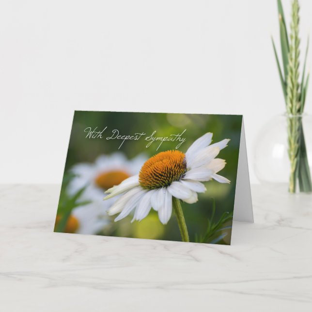 Daisy Sympathy Card (Front)