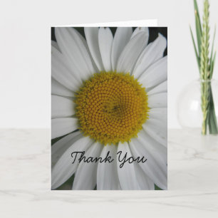 Daisy Thank You Card