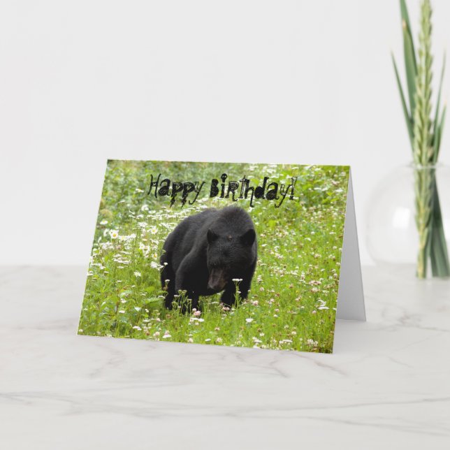 Daisy The Black Bear; Happy Birthday Card (Front)