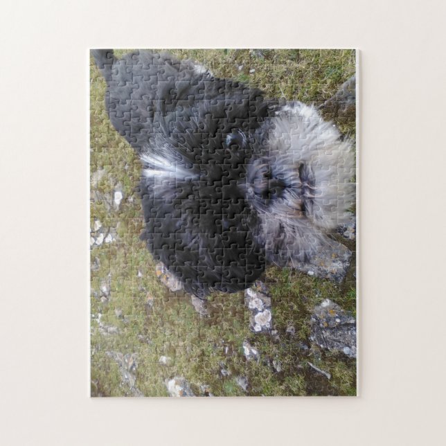 Daisy the shih tzu puzzle for doggy lovers!!! (Vertical)