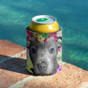Daisy The Staffordshire Bull Terrier Puppy,  Can Cooler
