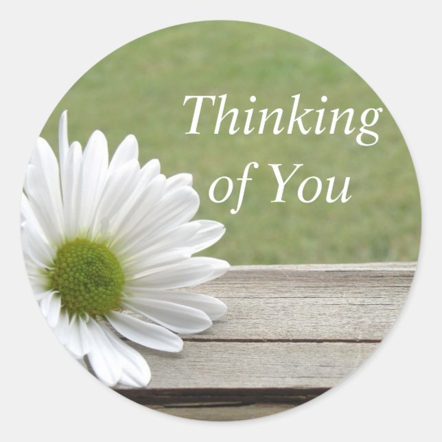 Daisy Theme Classic Round Sticker (Front)