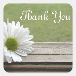 Daisy Theme Square Sticker