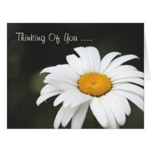 Daisy Thinking Of You Card