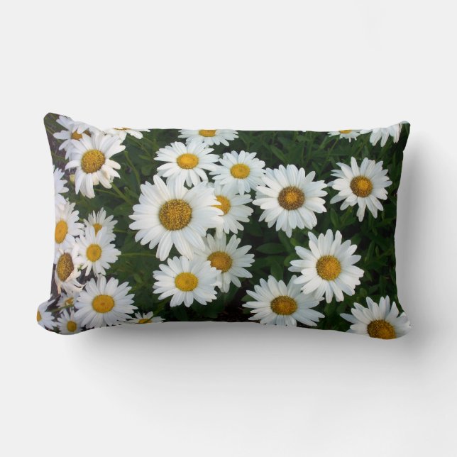 Daisy Throw Pillows (Front)