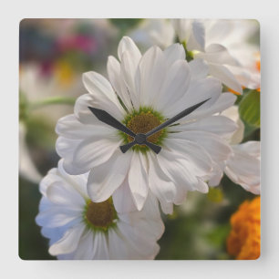 Daisy Time Square Wall Clock