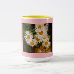 Daisy Two-Tone Coffee Mug