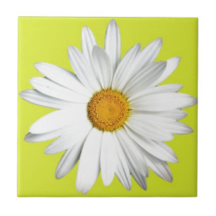 Daisy with Lime Green Background Tile