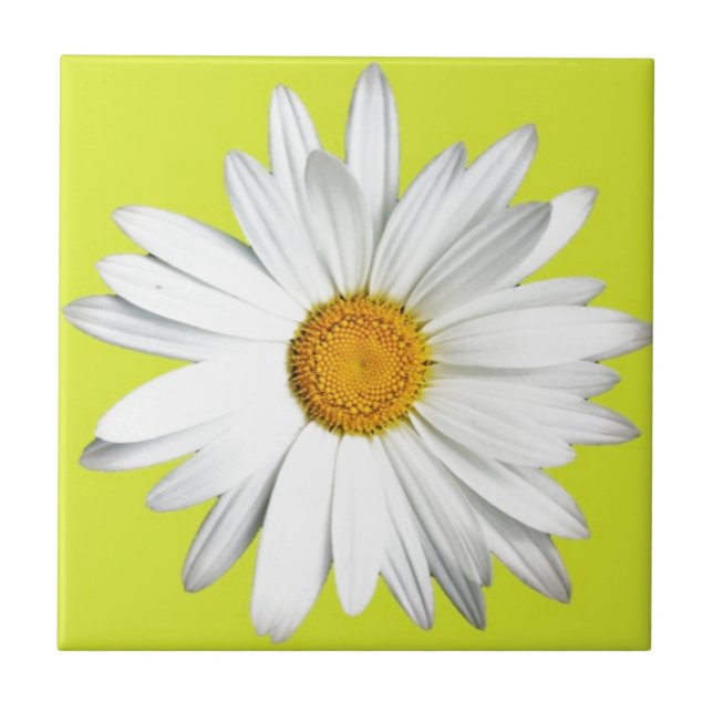 Daisy with Lime Green Background Tile (Front)