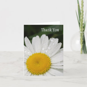 Daisy with Rain Drops All Occasion Notecard