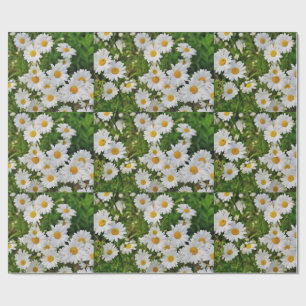 Daisy wrapping paper