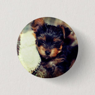 Daisy Yorke Pup, Small, 1¼ Inch Round Button