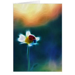 Daisybug