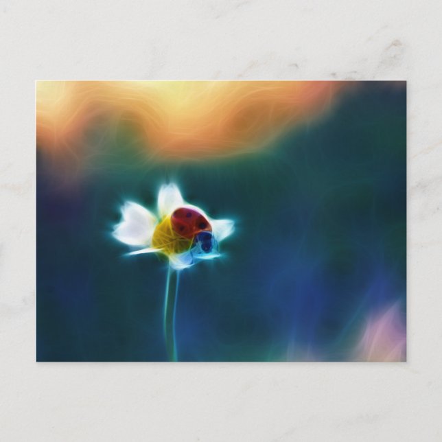 Daisybug Postcard (Front)