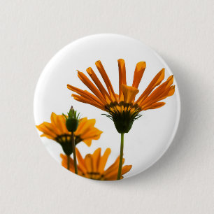 Daisy's on a White Background 6 Cm Round Badge