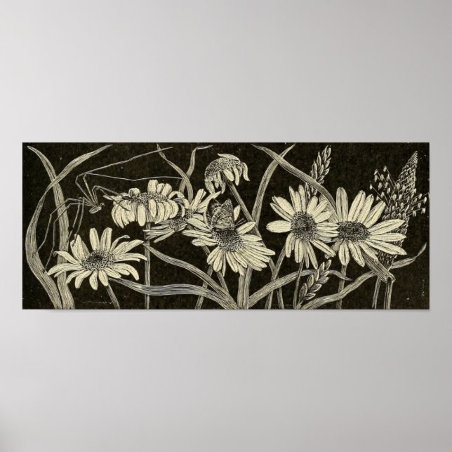 Daisy's Poster (Front)