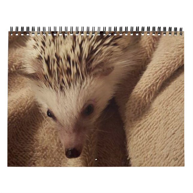 Dakota,Gizmo & Friends! Calendar (Cover)