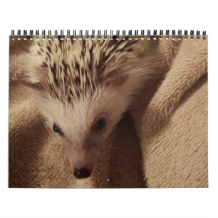 Dakota,Gizmo & Friends! Calendar