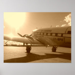 "Dakota Longing For The Sky In The Evening Sun" Poster