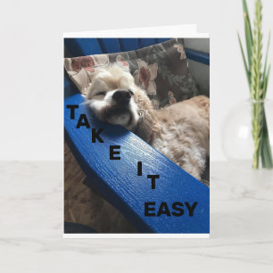 DAKOTA SAYS "TAKE IT EASY YOU ARE 40" CARD
