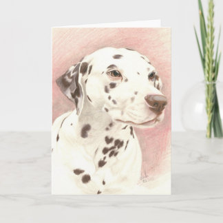 Dalamatian in Coloured Pencil Card