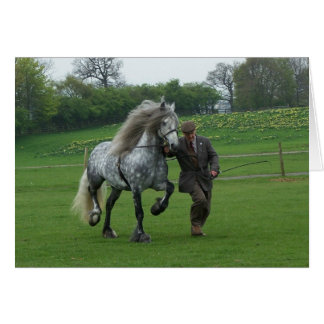 Dales Pony card