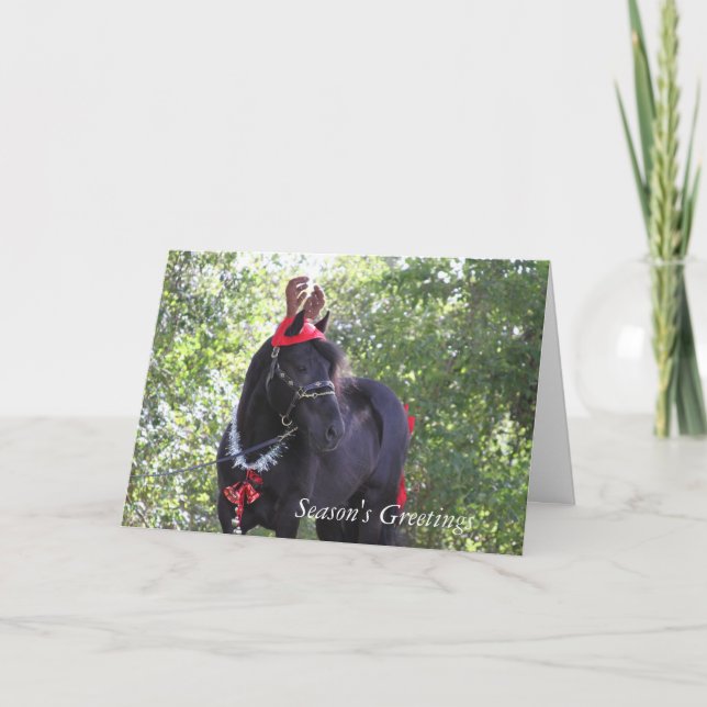Dales Pony Christmas Card (Front)