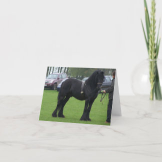 Dales stallion note cards