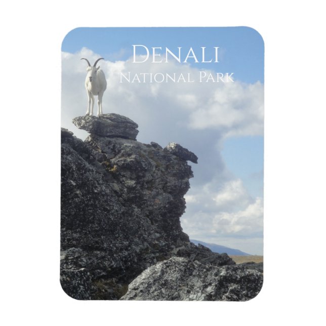 Dall Sheep Atop Mount Wright, Denali NP, Alaska Magnet (Vertical)